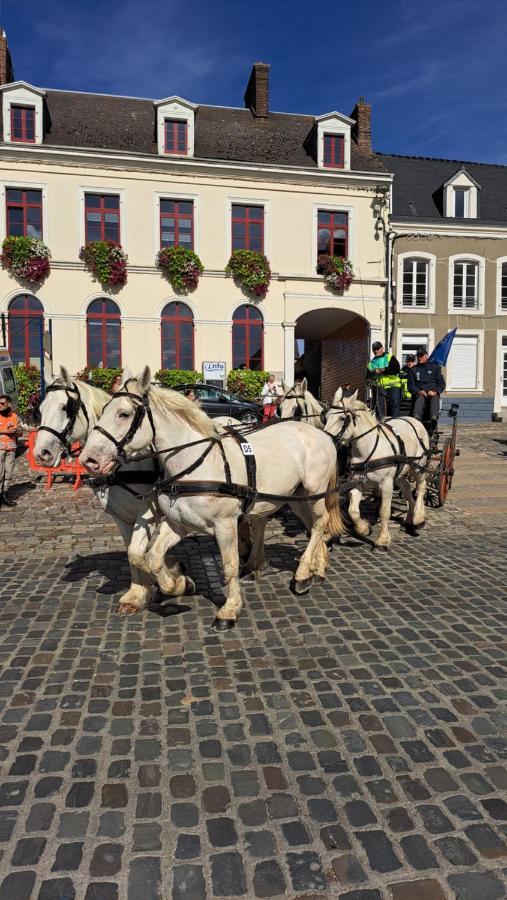 Gite La Grange 8Personnes Au Sein D'Un Elevage De Chevaux Brucquedal Eksteriør bilde